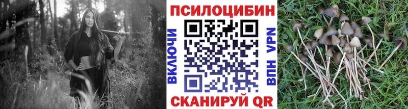 Псилоцибиновые грибы мицелий  это какой сайт  Горбатов 